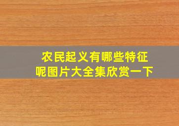 农民起义有哪些特征呢图片大全集欣赏一下