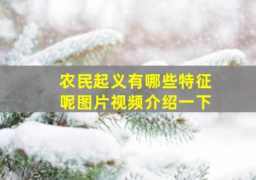 农民起义有哪些特征呢图片视频介绍一下