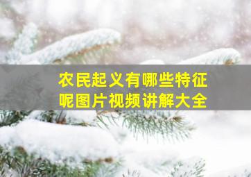 农民起义有哪些特征呢图片视频讲解大全