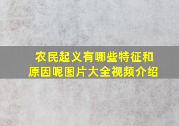 农民起义有哪些特征和原因呢图片大全视频介绍