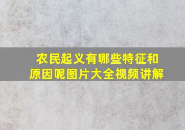 农民起义有哪些特征和原因呢图片大全视频讲解