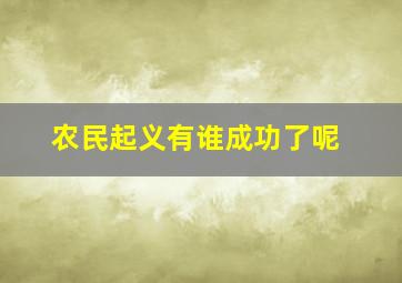 农民起义有谁成功了呢