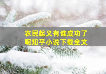 农民起义有谁成功了呢知乎小说下载全文