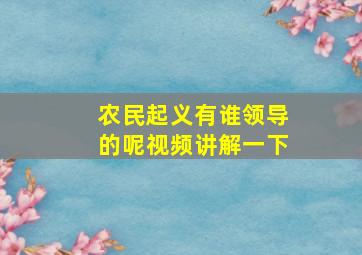 农民起义有谁领导的呢视频讲解一下