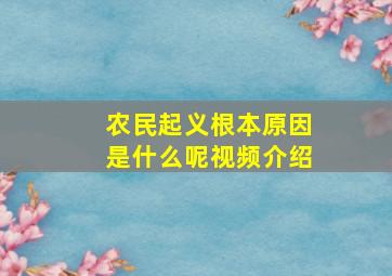 农民起义根本原因是什么呢视频介绍