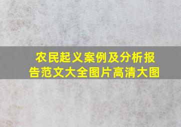 农民起义案例及分析报告范文大全图片高清大图