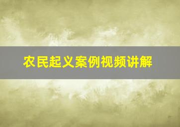 农民起义案例视频讲解