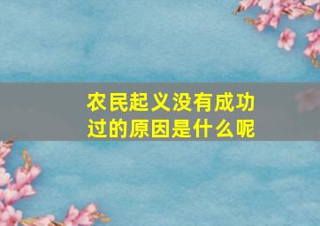 农民起义没有成功过的原因是什么呢