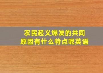 农民起义爆发的共同原因有什么特点呢英语