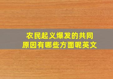 农民起义爆发的共同原因有哪些方面呢英文