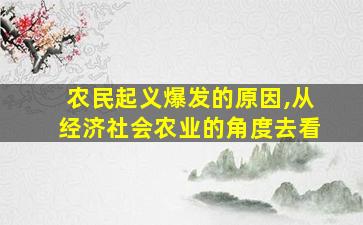 农民起义爆发的原因,从经济社会农业的角度去看