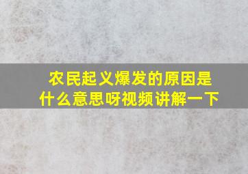 农民起义爆发的原因是什么意思呀视频讲解一下