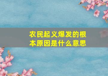 农民起义爆发的根本原因是什么意思