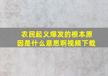 农民起义爆发的根本原因是什么意思啊视频下载