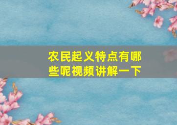 农民起义特点有哪些呢视频讲解一下