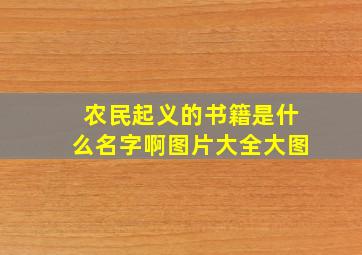 农民起义的书籍是什么名字啊图片大全大图