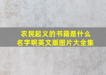 农民起义的书籍是什么名字啊英文版图片大全集