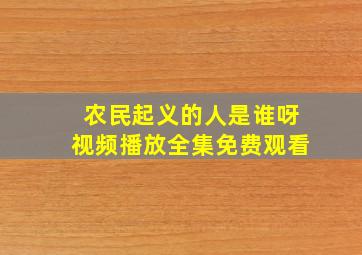 农民起义的人是谁呀视频播放全集免费观看