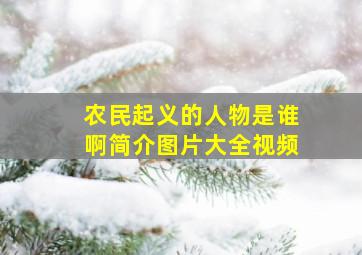 农民起义的人物是谁啊简介图片大全视频