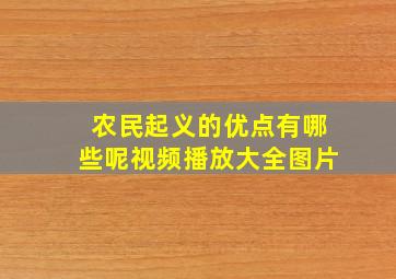 农民起义的优点有哪些呢视频播放大全图片