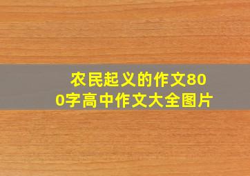 农民起义的作文800字高中作文大全图片