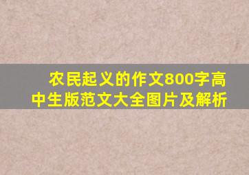 农民起义的作文800字高中生版范文大全图片及解析