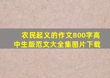 农民起义的作文800字高中生版范文大全集图片下载