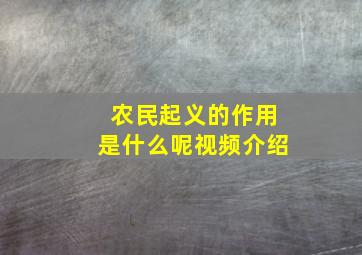 农民起义的作用是什么呢视频介绍