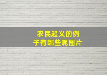 农民起义的例子有哪些呢图片