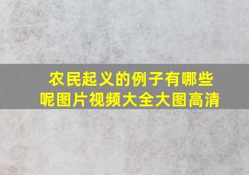 农民起义的例子有哪些呢图片视频大全大图高清