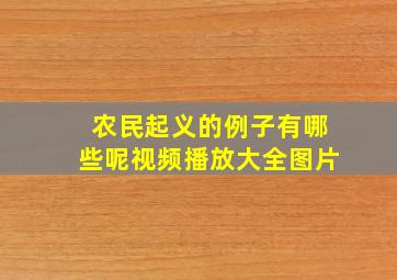 农民起义的例子有哪些呢视频播放大全图片