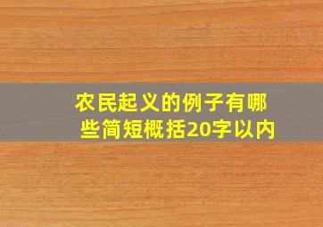 农民起义的例子有哪些简短概括20字以内