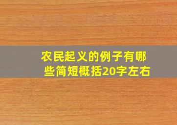 农民起义的例子有哪些简短概括20字左右