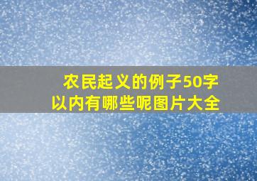 农民起义的例子50字以内有哪些呢图片大全