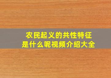 农民起义的共性特征是什么呢视频介绍大全