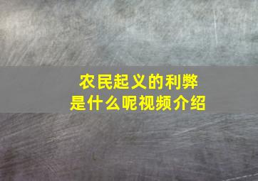 农民起义的利弊是什么呢视频介绍