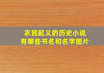 农民起义的历史小说有哪些书名和名字图片