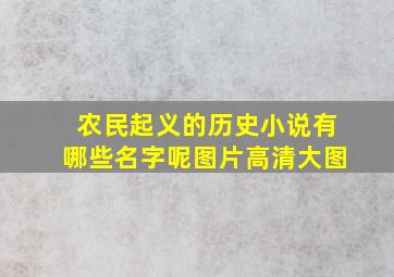 农民起义的历史小说有哪些名字呢图片高清大图