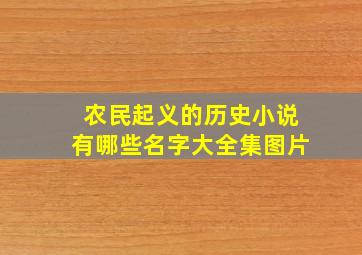 农民起义的历史小说有哪些名字大全集图片