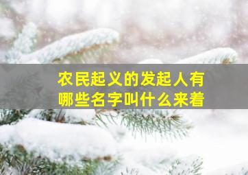 农民起义的发起人有哪些名字叫什么来着