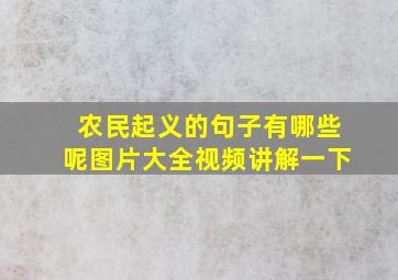 农民起义的句子有哪些呢图片大全视频讲解一下