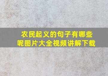 农民起义的句子有哪些呢图片大全视频讲解下载