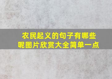 农民起义的句子有哪些呢图片欣赏大全简单一点