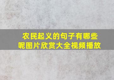 农民起义的句子有哪些呢图片欣赏大全视频播放