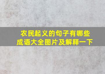 农民起义的句子有哪些成语大全图片及解释一下