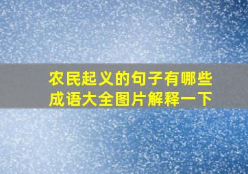 农民起义的句子有哪些成语大全图片解释一下