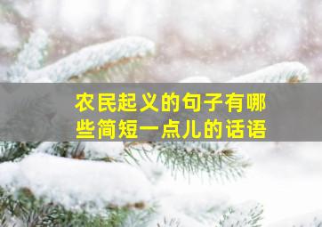 农民起义的句子有哪些简短一点儿的话语