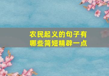 农民起义的句子有哪些简短精辟一点