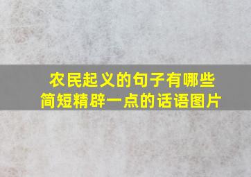 农民起义的句子有哪些简短精辟一点的话语图片