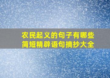 农民起义的句子有哪些简短精辟语句摘抄大全